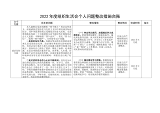2022年度组织生活会个人问题整改措施台账（信仰、意识，表格清单）