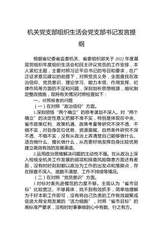 机关党支部2022年度组织生活会党支部书记发言提纲