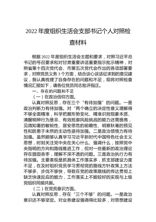 2022年度支部书记组织生活会个人对照检查材料
