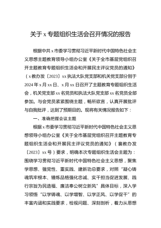 关于x专题组织生活会召开情况的报告