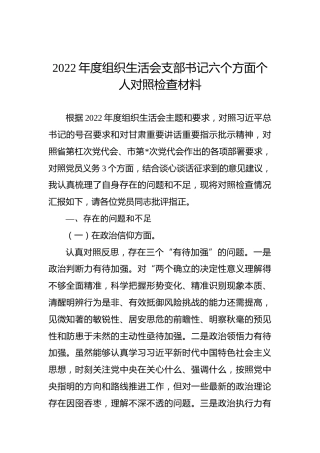 2022年度组织生活会支部书记六个方面个人对照检查材料