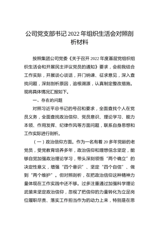 公司党支部书记2022年组织生活会对照剖析材料