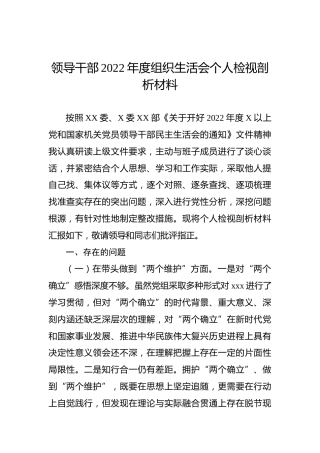 领导干部2022年度组织生活会个人检视剖析材料