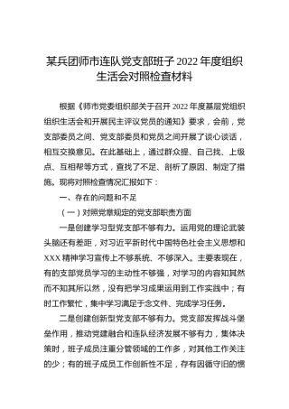 某兵团师市连队党支部班子2022年度组织生活会对照检查材料