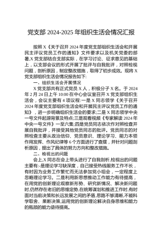 党支部2024-2025年组织生活会情况汇报