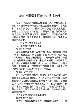 2025年组织生活会个人检视材料