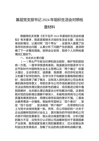 基层党支部书记2024年组织生活会对照检查材料