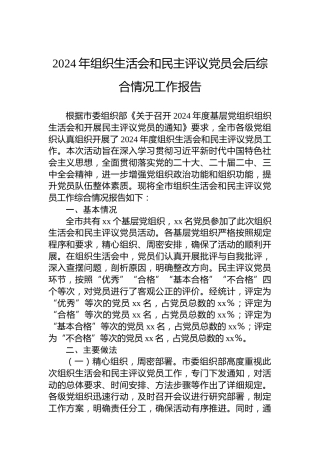 2024年组织生活会和民主评议党员会后综合情况工作报告
