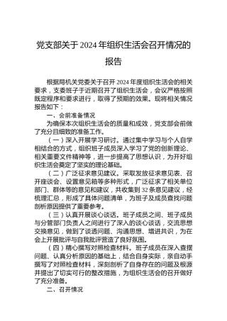 党支部关于2024年组织生活会召开情况的报告