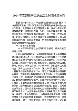 2024年支部班子组织生活会对照检查材料