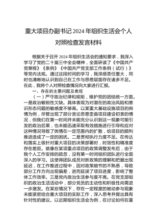 重大项目办副书记2024年组织生活会个人对照检查发言材料
