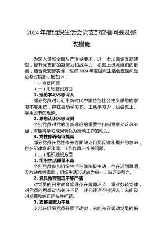 2024年度组织生活会党支部查摆问题及整改措施
