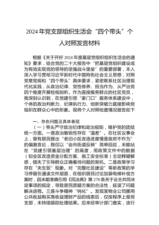 2024年党支部组织生活会“四个带头”个人对照发言材料