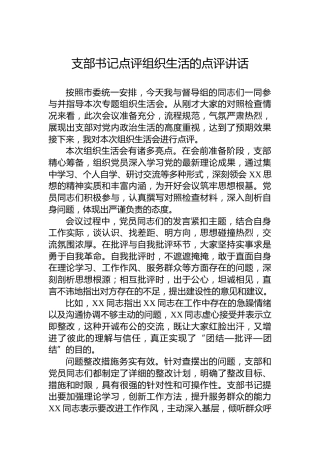 支部书记点评组织生活的点评讲话