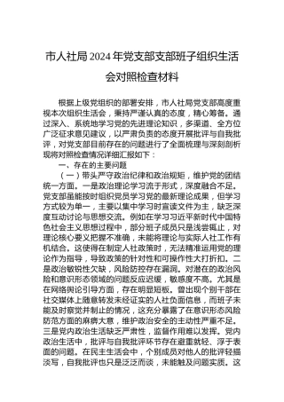 市人社局2024年党支部支部班子组织生活会对照检查材料