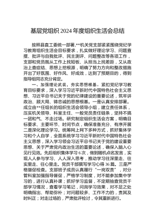 基层党组织2024年度组织生活会总结