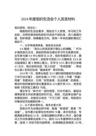 2024年度组织生活会个人发言材料