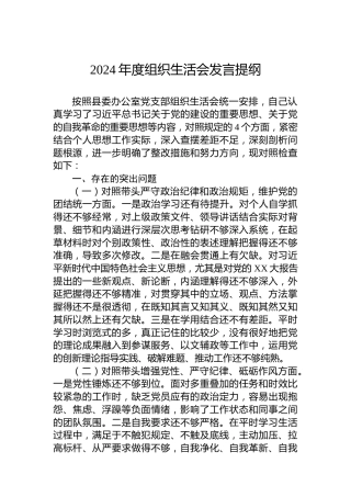 2024年度组织生活会发言提纲