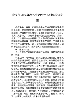 党支部2024年组织生活会个人对照检查发言