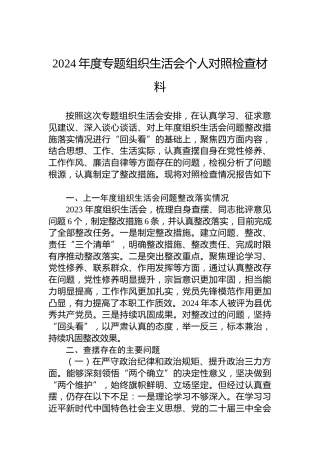 2024年度专题组织生活会个人对照检查材料