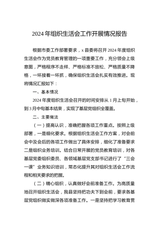 2024年组织生活会工作开展情况报告