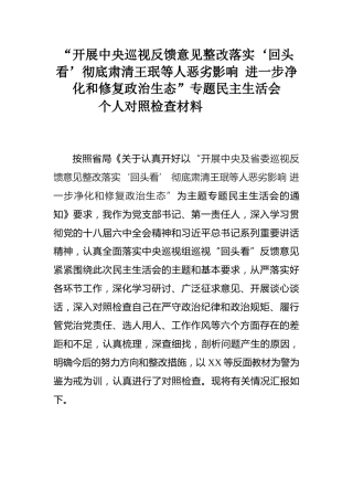 2017-04-28领导班子专题民主生活会对照检查材料