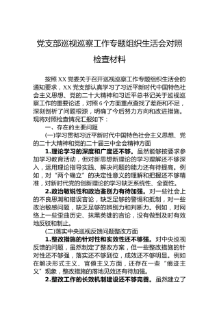 党支部巡视巡察工作专题组织生活会对照检查材料