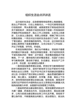 组织生活会点评讲话