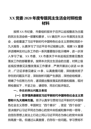 XX党委2020年度专题民主生活会对照检查材料