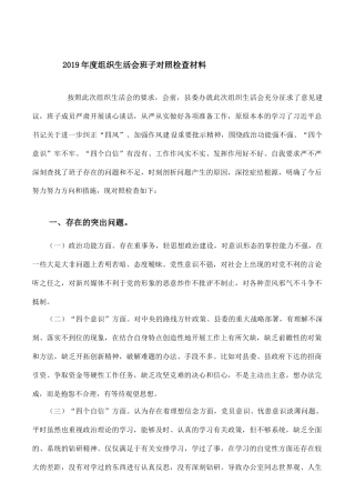 2019年度组织生活会班子对照检查材料