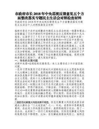 市政府市长2018年中央巡视反馈意见五个方面整改落实专题民主生活会对照检查材料