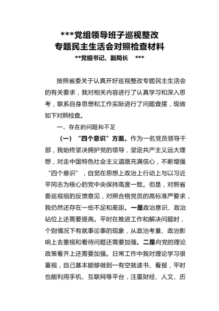 党组领导班子巡视整改专题民主生活会对照检查材料2