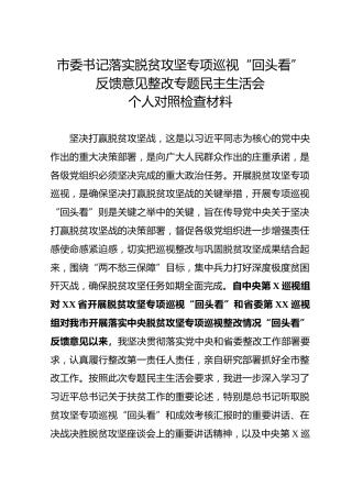市委书记中央脱贫攻坚专项巡视回头看反馈问题整改专题民主生活会对照检查材料(1)