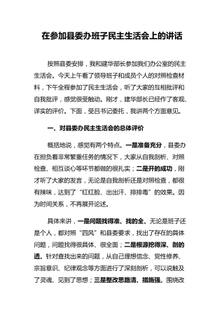 县委副书记在参加县委办班子民主生活会上的讲话(1)
