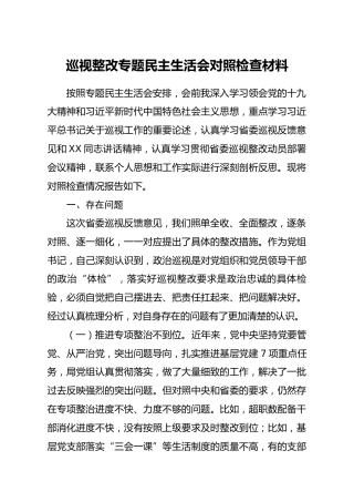 巡视整改专题民主生活会对照检查材料(1)