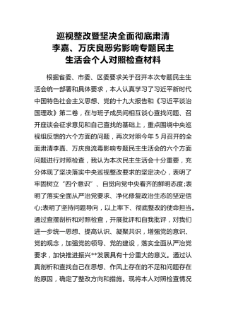 巡视整改暨坚决全面彻底肃清李嘉、万庆良恶劣影响专题民主生活会个人对照检查材料