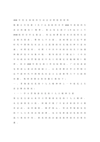 支部对照检查材料