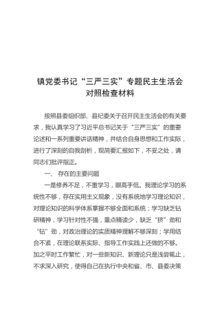 镇党委书记“三严三实”专题民主生活会
