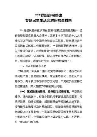 党组巡视整改专题民主生活会对照检查材料