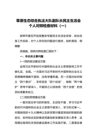 草原生态综合执法大队副队长民主生活会个人对照检查材料（一）