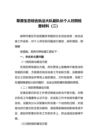 草原生态综合执法大队副队长个人对照检查材料（二）
