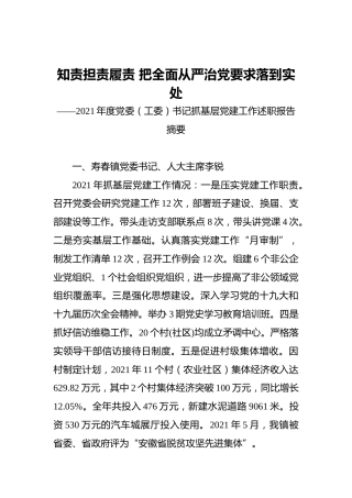 2021年度党委（工委）书记抓基层党建工作述职报告摘要（31）