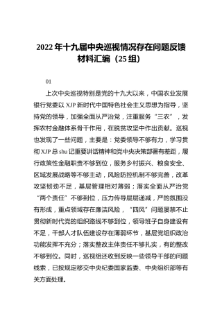 2022年中央巡视情况存在问题反馈材料汇编（25组）