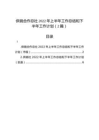 供销合作总社2022年上半年工作总结和下半年工作计划（2篇）