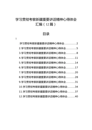 学习贯彻考察新疆重要讲话精神心得体会汇编（12篇）