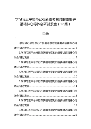 学习习近平总书记在新疆考察时的重要讲话精神心得体会研讨发言（12篇）