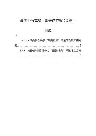 最美下沉党员干部评选方案（2篇）