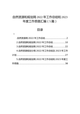 自然资源和规划局2022年工作总结和2023年度工作思路汇编（5篇）