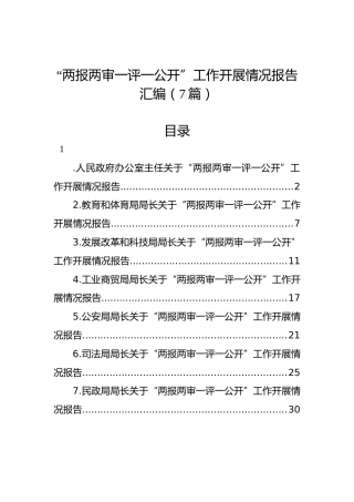 “两报两审一评一公开”工作开展情况报告汇编（7篇）