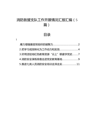 消防救援支队工作开展情况汇报汇编（5篇）